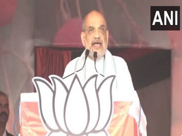 India News | Population of Yadavs, Muslims Increased in Bihar Caste Survey to Minimise Rights of Extremely Backward Classes: Amit Shah - Vimarsana News