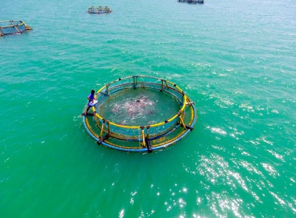 India News | Central Marine Fisheries Research Institute's Research on Coral Reefs Garners National Recognition