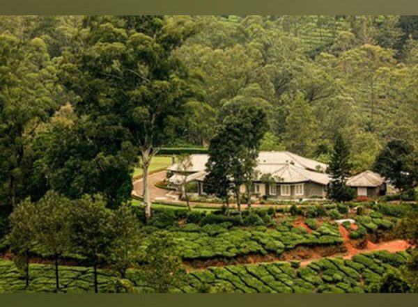 Business News | Munnar's Oldest Plantation Estate is Now Open to Guests