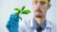 Science News | Here is How Plants Defend Against Mutational Damage