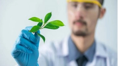 Science News | Here is How Plants Defend Against Mutational Damage