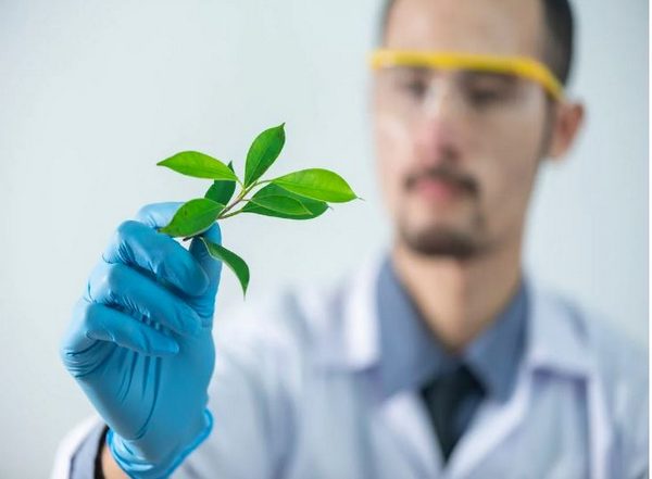 Science News | Here is How Plants Defend Against Mutational Damage
