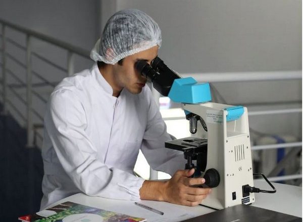 Science News | Video Technology Has Potential to Revolutionise How Scientists Track Changes in Species Evolution, Development