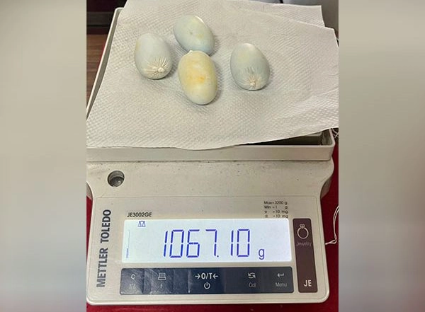 India News | Kerala: Cochin Customs Arrest Man for Smuggling 4 Gold Capsules Worth Rs 52 Lakh