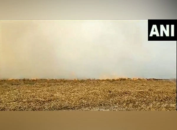 India News | Delhi-NCR Air Quality: SC Asking Punjab to Stop Stubble Burning Sparks Political Debate
