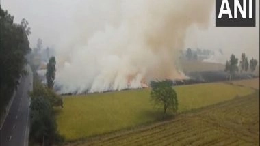 India News | Stubble Burning Continues in Punjab's Patiala Despite Threat to Health