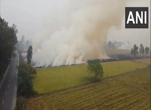 India News | Stubble Burning Continues in Punjab's Patiala Despite Threat to Health