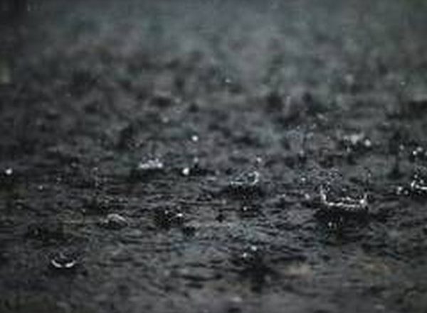 India News | Tamil Nadu: Schools in Madurai to Remain Closed Today Due to Heavy Rainfall
