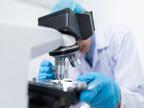 Science News | Cow's Milk Antibodies Are Connected to Increased Risk of Cardiovascular Mortality: Study - Vimarsana News