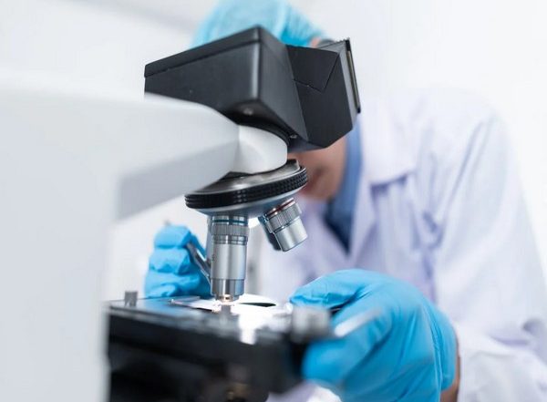 Science News | Cow's Milk Antibodies Are Connected to Increased Risk of Cardiovascular Mortality: Study