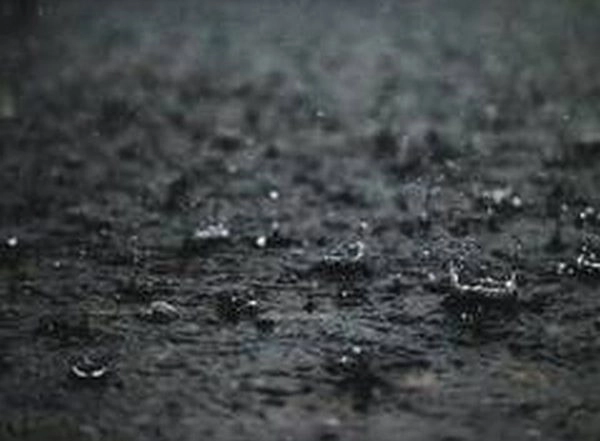 India News | Heavy Rains in Tamil Nadu Disrupt Normal Life: Severe Waterlogging, Schools Shut Down
