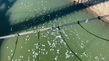 World News | PoK: Residents Protest Soaring Electricity Bills by Symbolically Throwing Power Bills in River