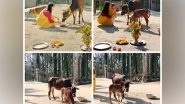 India News | Gorkhas Worship Cows on Day 3 of Tihar in Assam; See Pictures