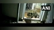 India News | Tamil Nadu: Leopard Who Took Shelter Inside House in Coonoor Escapes