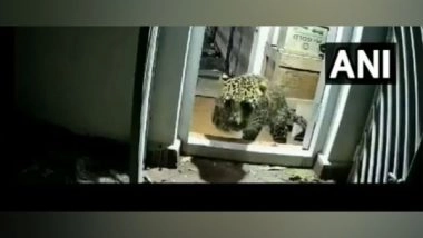 India News | Tamil Nadu: Leopard Who Took Shelter Inside House in Coonoor Escapes