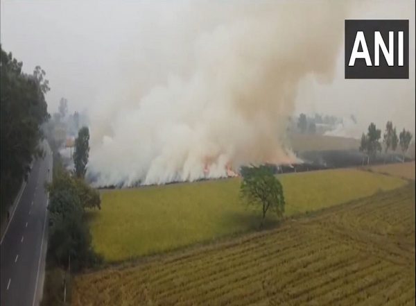 India News | Yogi Govt on Alert Against Incidents of Stubble Burning in UP