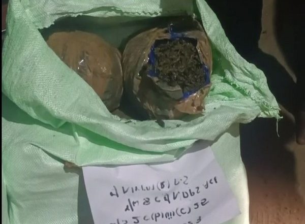 India News |  Police Seize Consignment of Ganja in Andhra Pradesh's Anakapalli, 4 Held