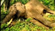 India News | Tamil Nadu: Tusker Dies Due to Electrocution in Nilgiris