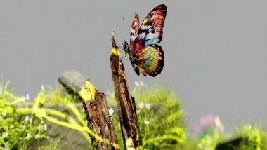 Science News | Social Media Helping to Protect Biodiversity: Study