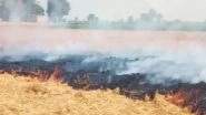 India News | Punjab: Stubble-burning Cases Continue to Decline for Third Day, 634 Cases Recorded on Monday