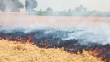 India News | Punjab: Stubble-burning Cases Continue to Decline for Third Day, 634 Cases Recorded on Monday