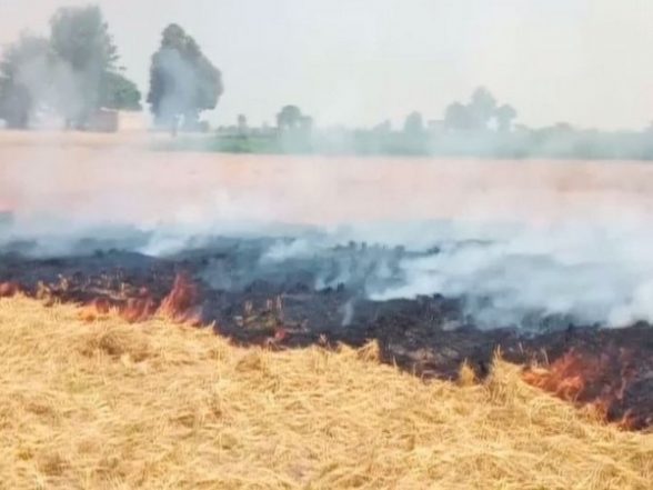 India News | Punjab: Stubble-burning Cases Continue to Decline for Third Day, 634 Cases Recorded on Monday - Vimarsana News