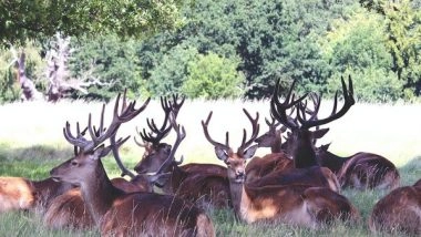 Science News | Temperature Extremes Influence Distribution of Species: Study