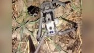 India News | BSF Makes Record Seizure of 69 Pak Drones in Last 10 Months Near International Border