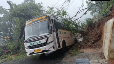 Tamil Nadu Rains: Tree Falls on Bus After Landslide in Burliyar, None Hurt (See Pics)