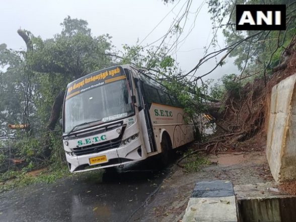Tamil Nadu Rains: Tree Falls on Bus After Landslide in Burliyar, None Hurt (See Pics) - Vimarsana News