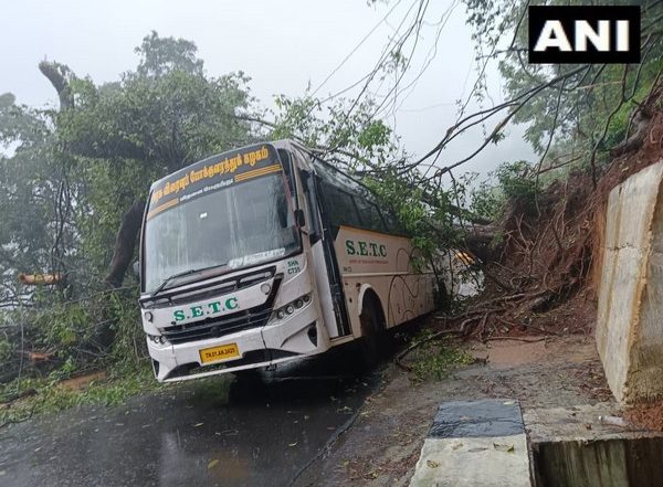 Tamil Nadu Rains: Tree Falls on Bus After Landslide in Burliyar, None Hurt (See Pics)
