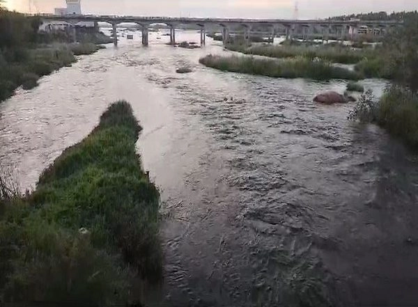 India News | Cauvery Panel Directs Karnataka to Release 3216 Cusecs Water Every Day to Tamil Nadu for Next 38 Days