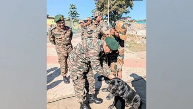 India News | Indian Army's K9 Awarded for Tracking Down Pakistani Terrorists During Rajouri Encounter