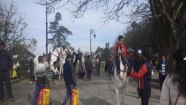 India News | Horsemen of Himachal Face Uphill Struggle for Survival as They Battle New Rules and Tourist Attractions