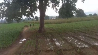 India News | Gujarat: Death Toll Rises to 27 Amid Unseasonal Rainfall