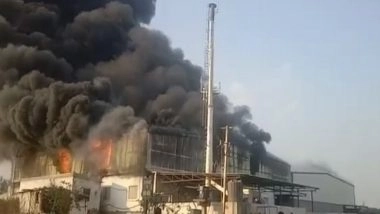India News | Fire Breaks out at Thermocol Company in Telangana's Rangareddy