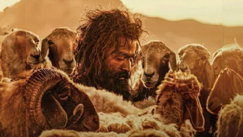 Aadujeevitham aka The Goat Life Advance Booking: Prithviraj Sukumaran-Starrer Earns More Than Rs 8.9 Crore Worldwide – Reports