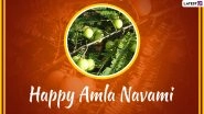 Amla Navami 2023 Images & Akshaya Navami HD Wallpapers for Free Download Online: Wish Happy Amla Navami With WhatsApp Messages and Greetings