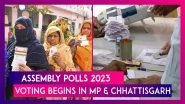 Assembly Elections 2023: Voting Begins In Madhya Pradesh And For Second Phase In Chhattisgarh