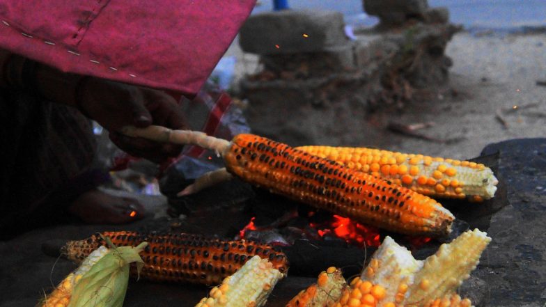 Indian Snacks for Winter Evenings: From Moong Dal Pakoda to Bhutta, Food Items To Enjoy the Cold Windy Season (Watch Recipe Videos)