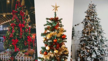 Christmas 2023 Tree Decoration Ideas: From Bauble Ornaments to Snowflakes, Attractive Accessories To Decorate the Christmas Tree