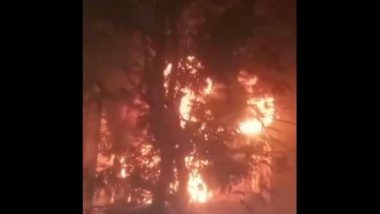 Mumbai Dhanteras Tragedy: 95-Year-Old Woman Killed After Fire Breaks Out at Vile Grand Residency Building in Vile Parle (Watch Video)