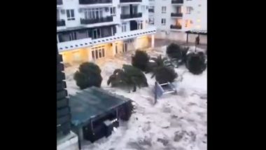 Black Sea Storm: Three Dead As Storms Hit Russia-Occupied Crimea and Ukraine, Hundreds Evacuated (Watch Videos)