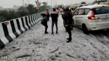 Gujarat Rains: 20 Killed in Lightning Strikes Amid Widespread Unseasonal Rainfall; Amit Shah Expresses Grief (Watch Video)