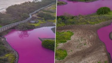 Hawaii: Pond Mysteriously Turns 'Barbie' Pink in Maui, Scientists Warn People Against Entering or Drinking Water as Videos Go Viral