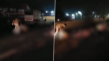 Amroha Road Accident: Youth Dies After Speeding Vehicle Crushes Him on Road, Police Use Broom to Collect Scattered Pieces of Body Parts; Disturbing Video Surfaces