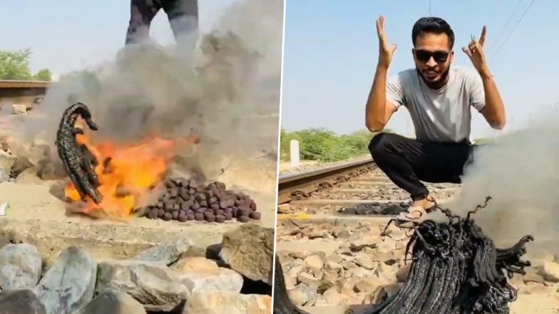 YouTuber Lights Black Snake Firecrackers on Railway Tracks Near Dantra Station in Rajasthan's Jaipur, RPF Alerted After Video Goes Viral