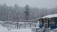 Winter Wonderland in Jammu and Kashmir: Fresh Layers of Snowfall in Basantgarh Valley and Gulmarg (Watch Videos)
