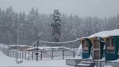 Snowfall in Jammu and Kashmir: Gulmarg, Sonmarg and Other Hilly Areas Receive Season’s First Snowfall (Watch Videos)