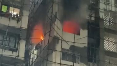 Navi Mumbai Fire: Blaze Erupts in House At Residential Society in Sanpada Sector 14, Fire Fighting Operations Underway (Watch Video)